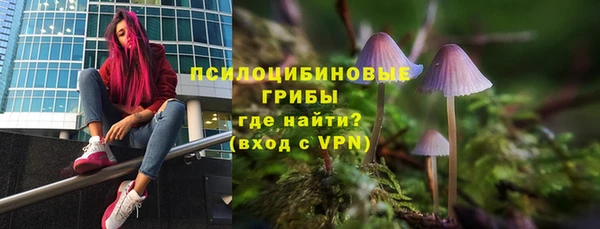 амф Белоозёрский